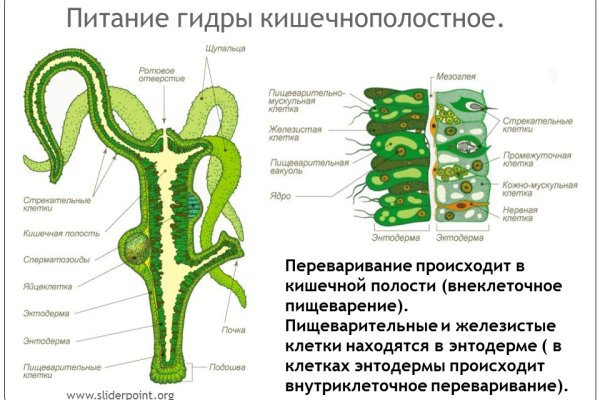 Омг онион ссылка